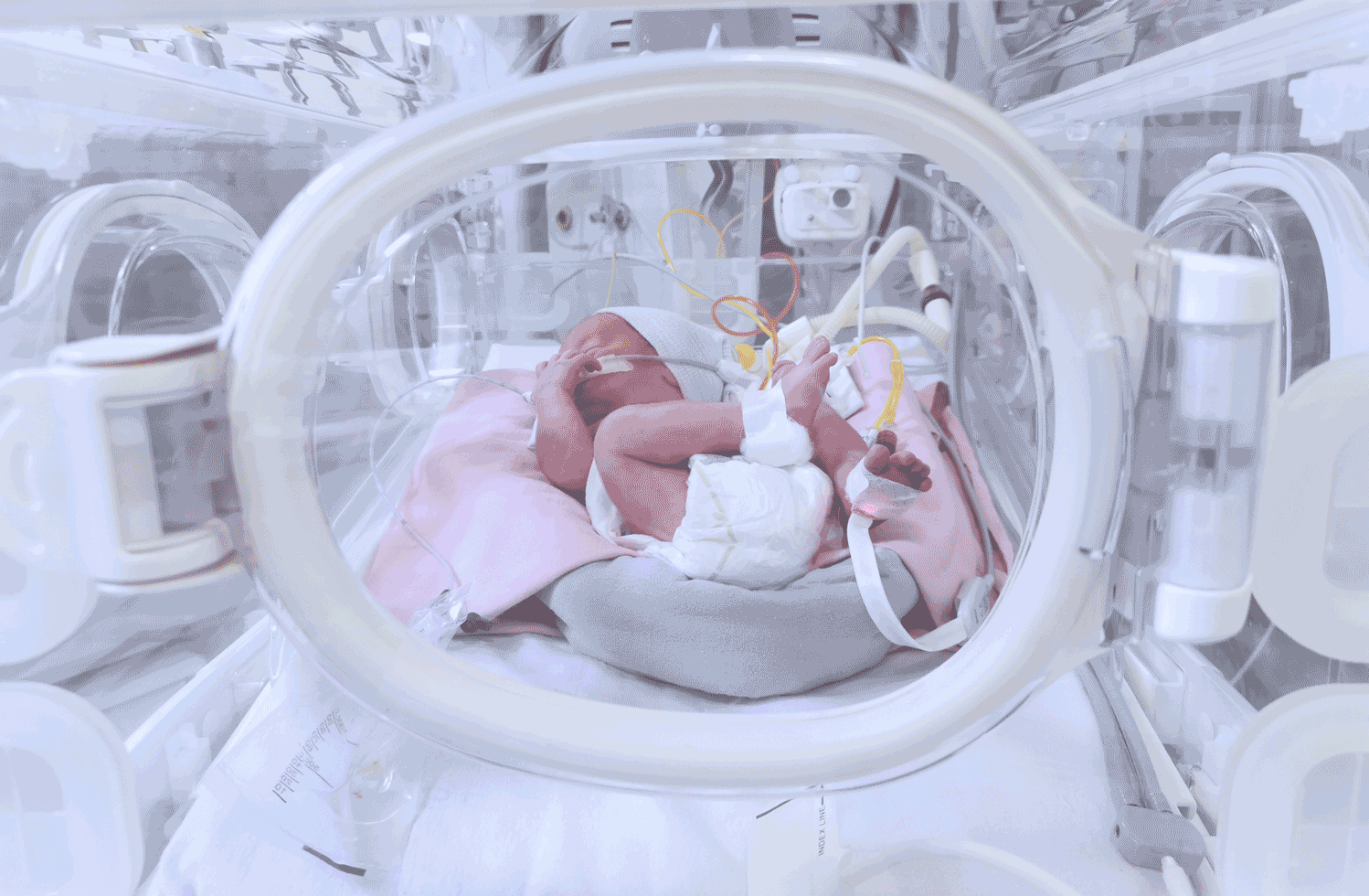 Chupete prematuros hospitalario esterilizado Talla 2 - Premature Baby Shop